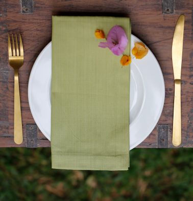 Solid Cotton Table Napkins Tender Green - Set of 6