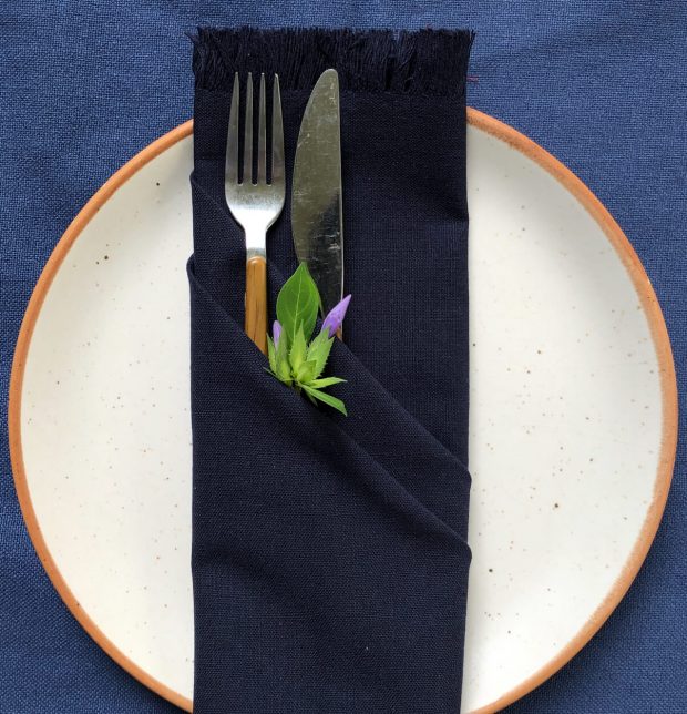 Solid Cotton Table Napkins With Fringes Blue Depth Set of 6
