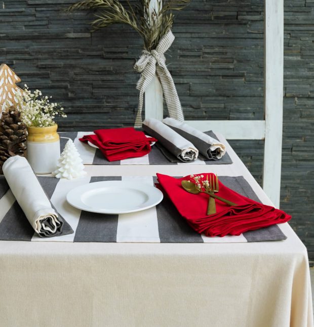 Cabana Stripes Grey Tablemats & Red Napkins Combo