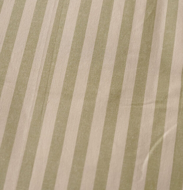 Morning Stripe Cotton Pillow Cover – Green