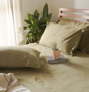 Earthen Hues Cotton Bedsheet Cedar Green -With 2 pillow covers